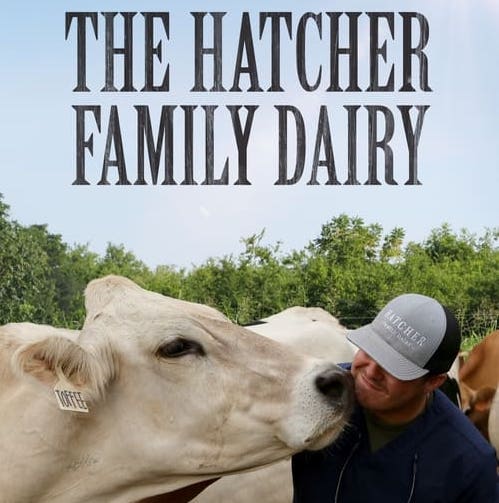 Cow licking bearded man below the title