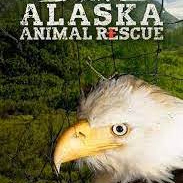 Title above the head of bald eagle